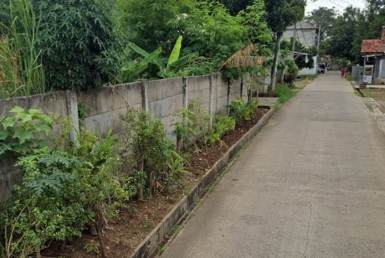 IMG-20250811-WA0038