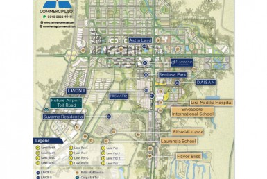 Lavon Swancity Commercial Lots 0