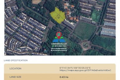Lavon Swancity Commercial Lots B