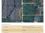 Lavon Swancity Commercial Lots L-01